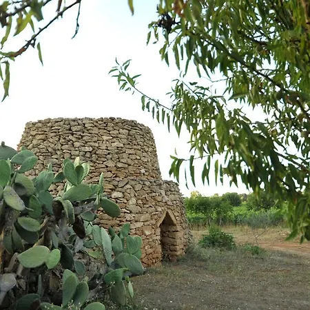 Terra Ti Squezzi Sava